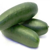 Cucumber : IL
