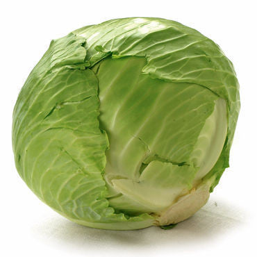 Cabbage