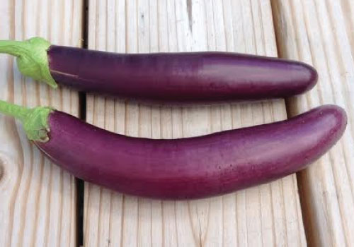 Chinese EggPlant (Texas)