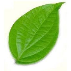 Paan Leaves