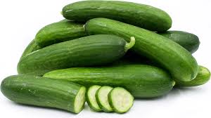 Persian Cucumber : IL
