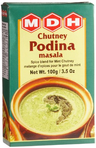 MDH Chutney Podina Masala (Texas)