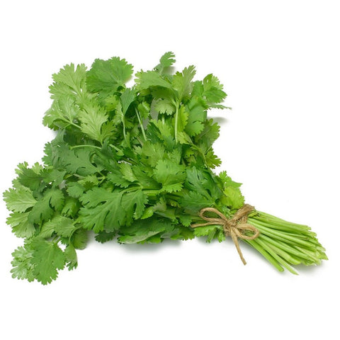 Cilantro : IL