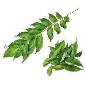 Curry Leaves (Texas)