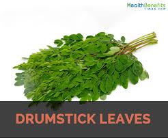 Drumsticks Leaves : Texas