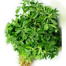 Fresh Methi (Texas)