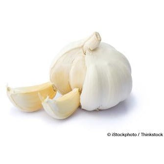 Garlic (Texas)