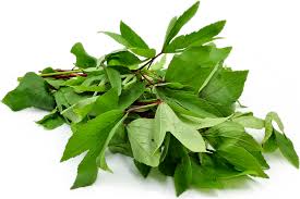 Gongura Leaves : Texas