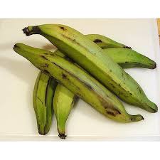Plantain Banana : IL - each 1