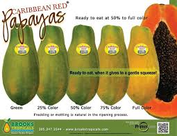 Ripe Papaya: IL : 1 qty