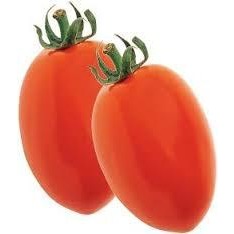 Tomatoes - Roma (Texas)
