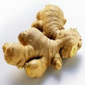 Ginger : IL