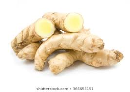 White Turmeric : Texas