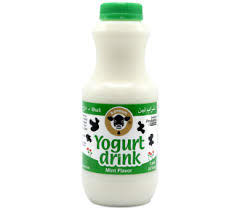 Karoun Yogurt Drink Mint Flavor : IL